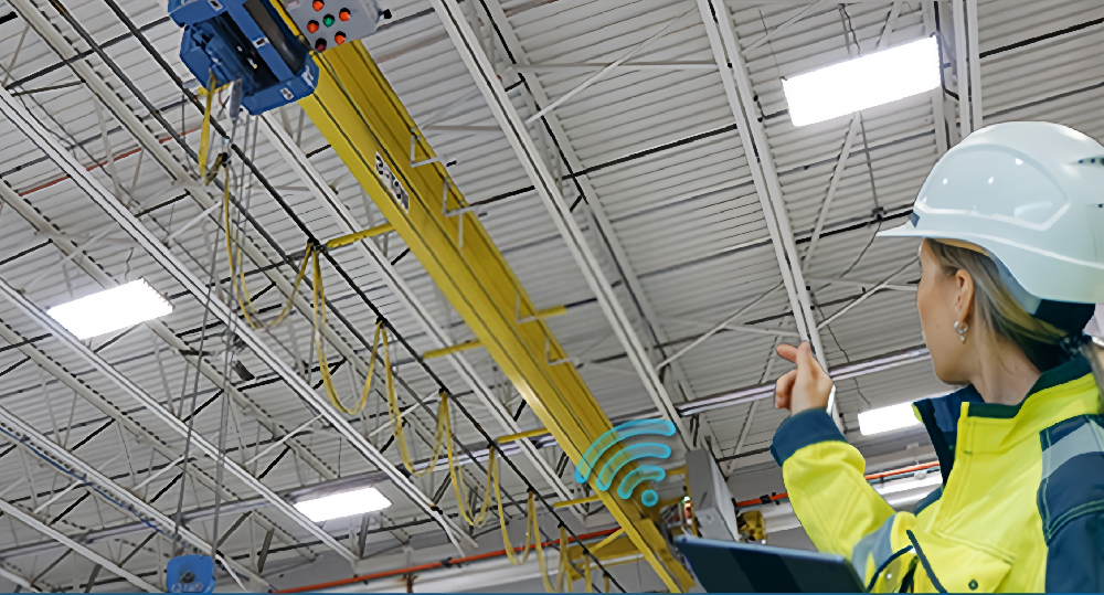 Automated Smart Crane for Cold Storage Logistics