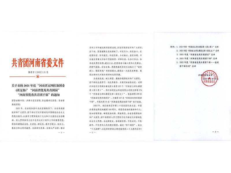 Provincial recognition for the Henan Mine youth organisation